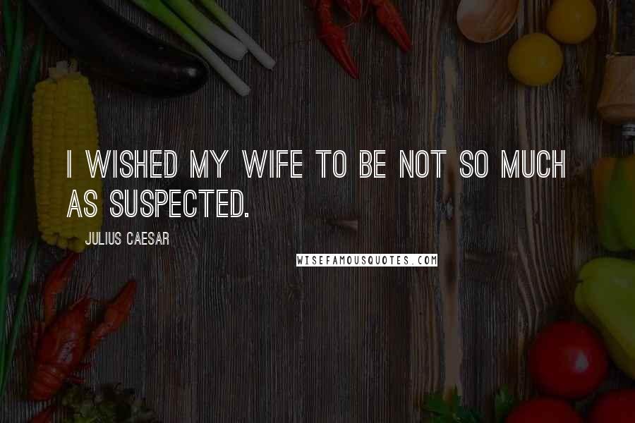 Julius Caesar Quotes: I wished my wife to be not so much as suspected.