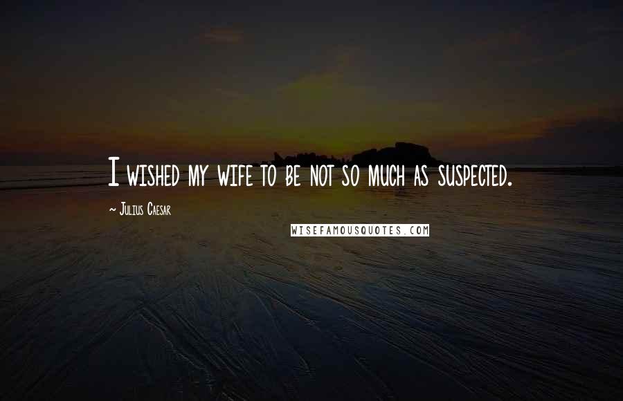Julius Caesar Quotes: I wished my wife to be not so much as suspected.