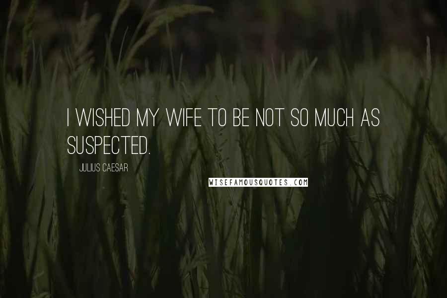 Julius Caesar Quotes: I wished my wife to be not so much as suspected.