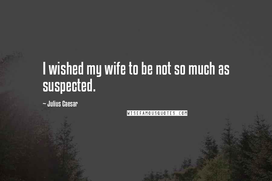 Julius Caesar Quotes: I wished my wife to be not so much as suspected.