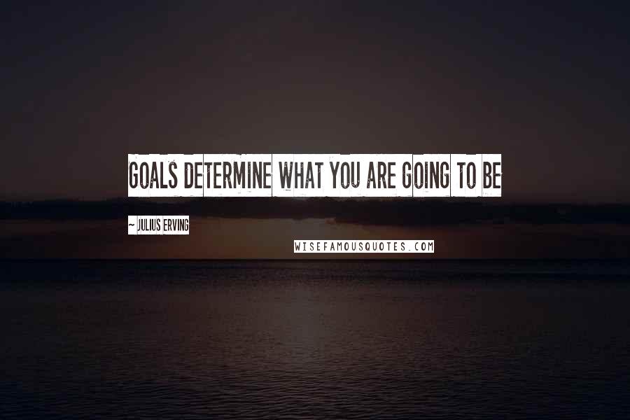 Julius Erving Quotes: Goals determine what you are going to be