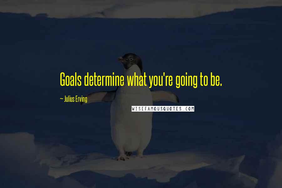 Julius Erving Quotes: Goals determine what you're going to be.