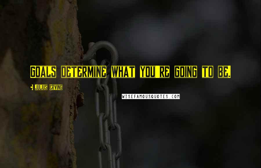 Julius Erving Quotes: Goals determine what you're going to be.