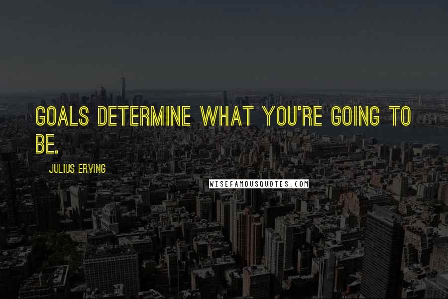 Julius Erving Quotes: Goals determine what you're going to be.