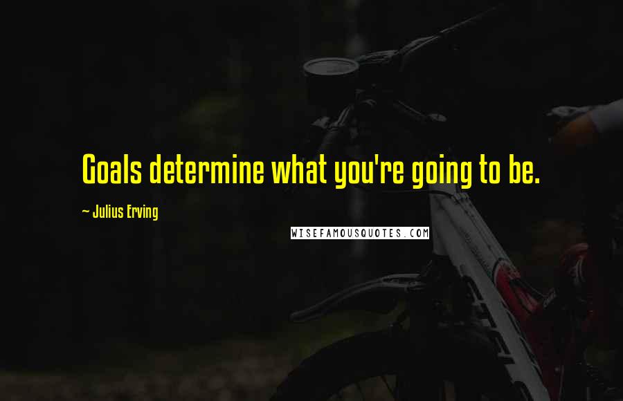 Julius Erving Quotes: Goals determine what you're going to be.