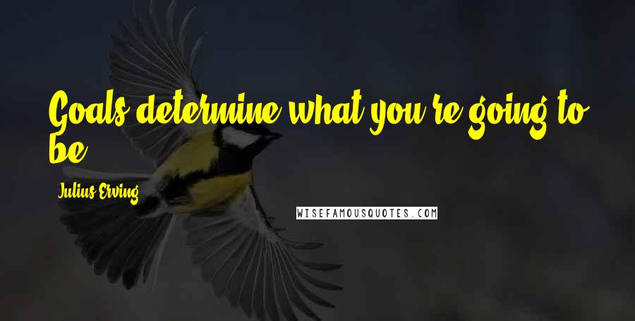 Julius Erving Quotes: Goals determine what you're going to be.