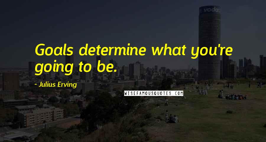 Julius Erving Quotes: Goals determine what you're going to be.