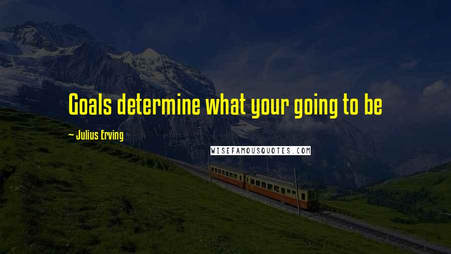 Julius Erving Quotes: Goals determine what your going to be