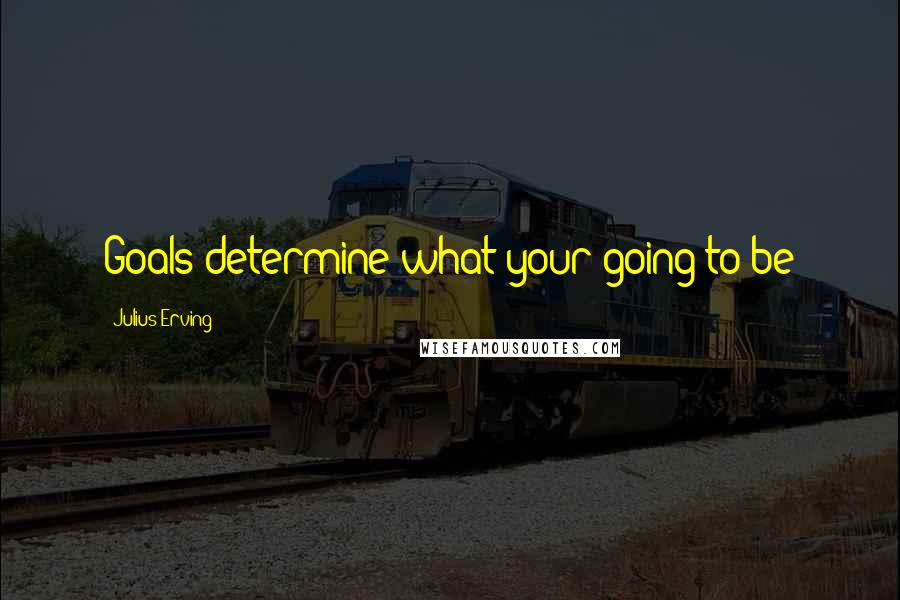 Julius Erving Quotes: Goals determine what your going to be