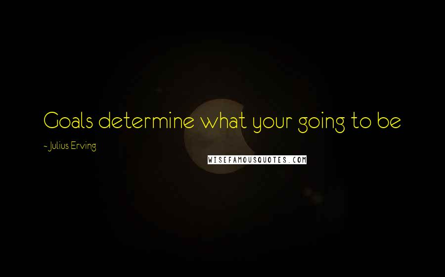 Julius Erving Quotes: Goals determine what your going to be