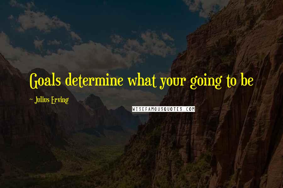 Julius Erving Quotes: Goals determine what your going to be