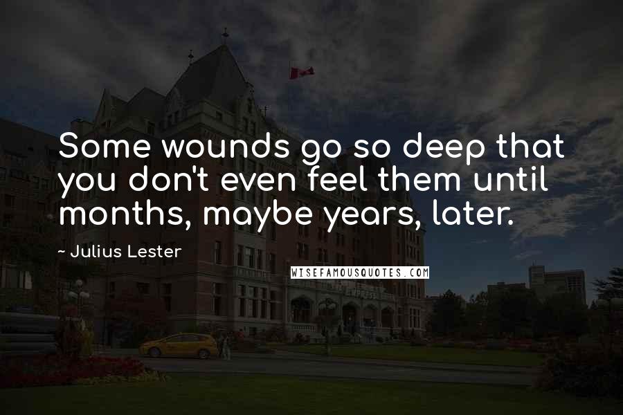 Julius Lester Quotes: Some wounds go so deep that you don't even feel them until months, maybe years, later.