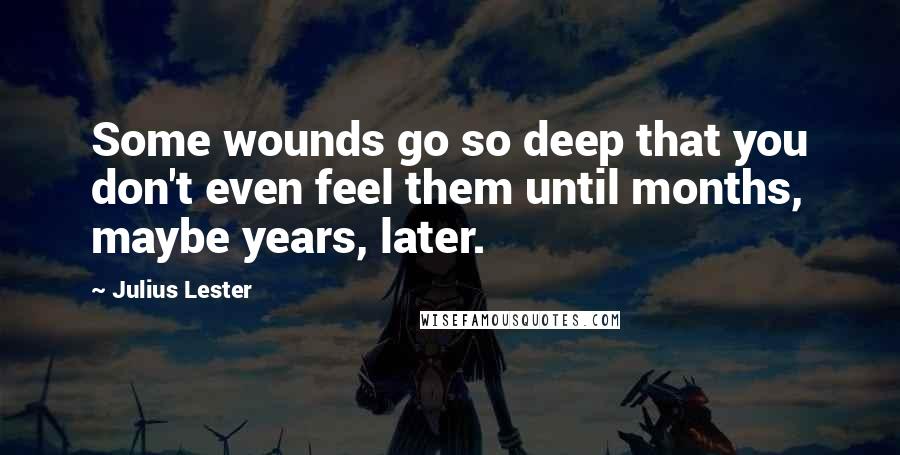 Julius Lester Quotes: Some wounds go so deep that you don't even feel them until months, maybe years, later.