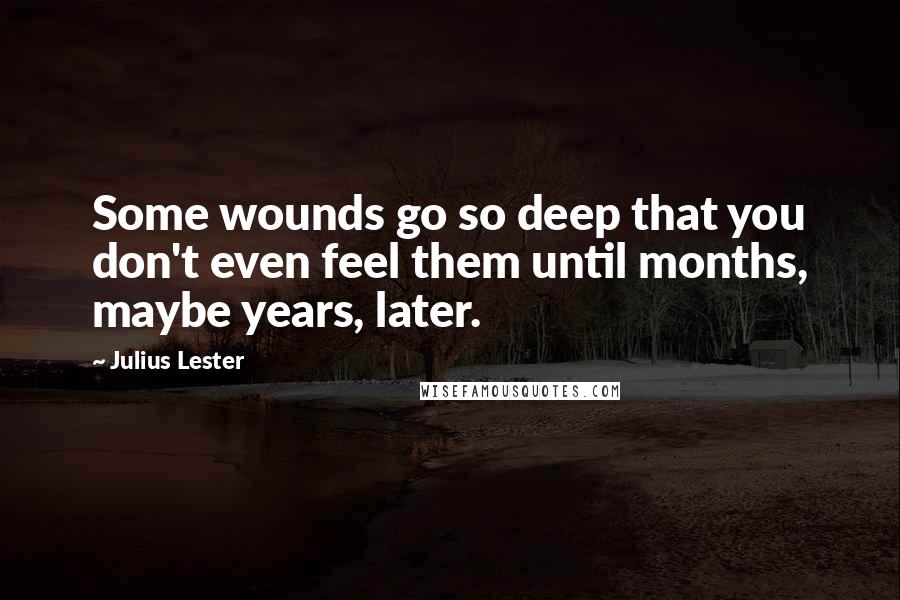 Julius Lester Quotes: Some wounds go so deep that you don't even feel them until months, maybe years, later.