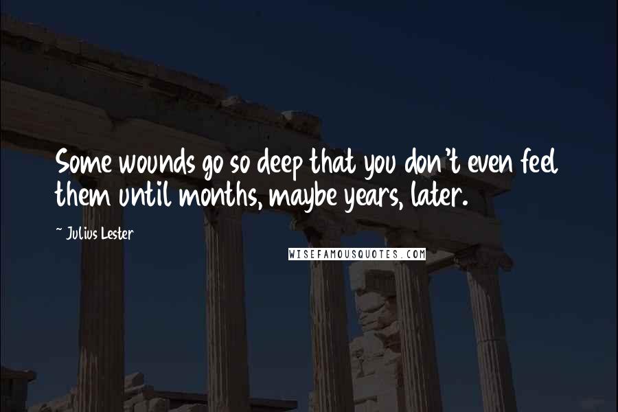 Julius Lester Quotes: Some wounds go so deep that you don't even feel them until months, maybe years, later.