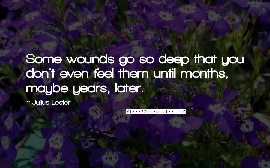 Julius Lester Quotes: Some wounds go so deep that you don't even feel them until months, maybe years, later.