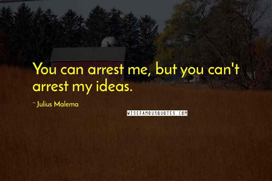 Julius Malema Quotes: You can arrest me, but you can't arrest my ideas.