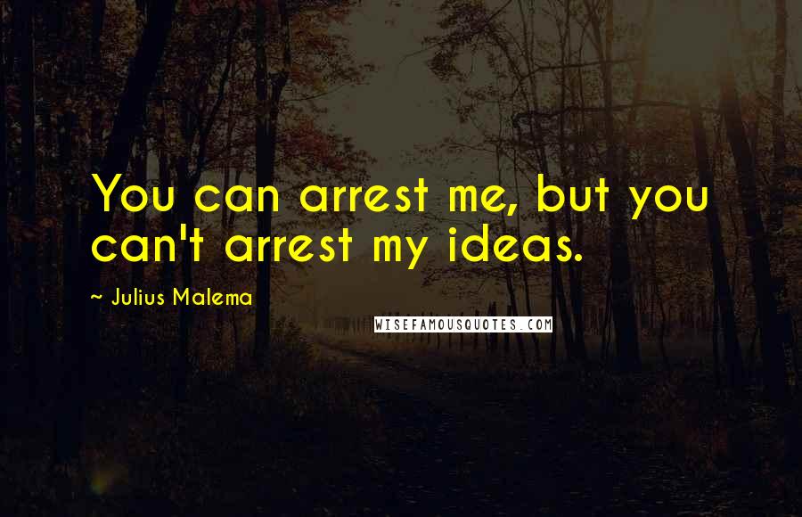 Julius Malema Quotes: You can arrest me, but you can't arrest my ideas.