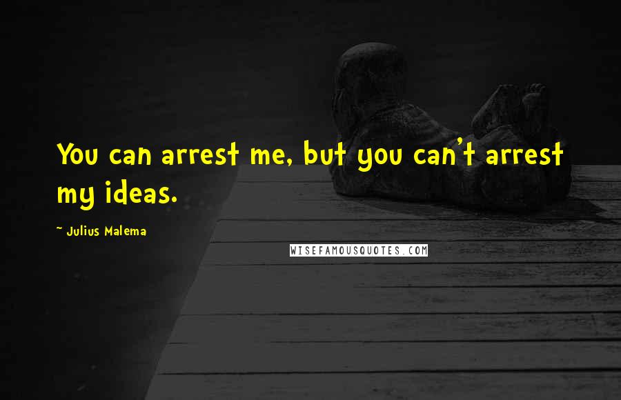 Julius Malema Quotes: You can arrest me, but you can't arrest my ideas.