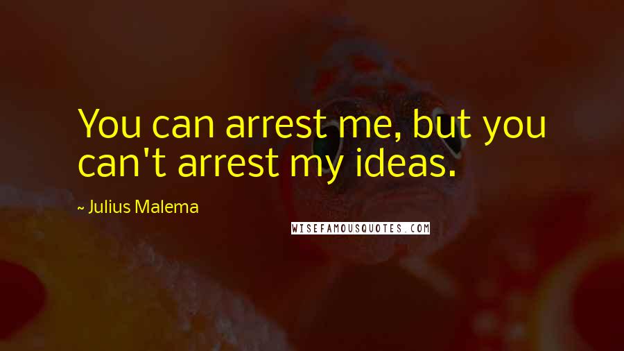 Julius Malema Quotes: You can arrest me, but you can't arrest my ideas.