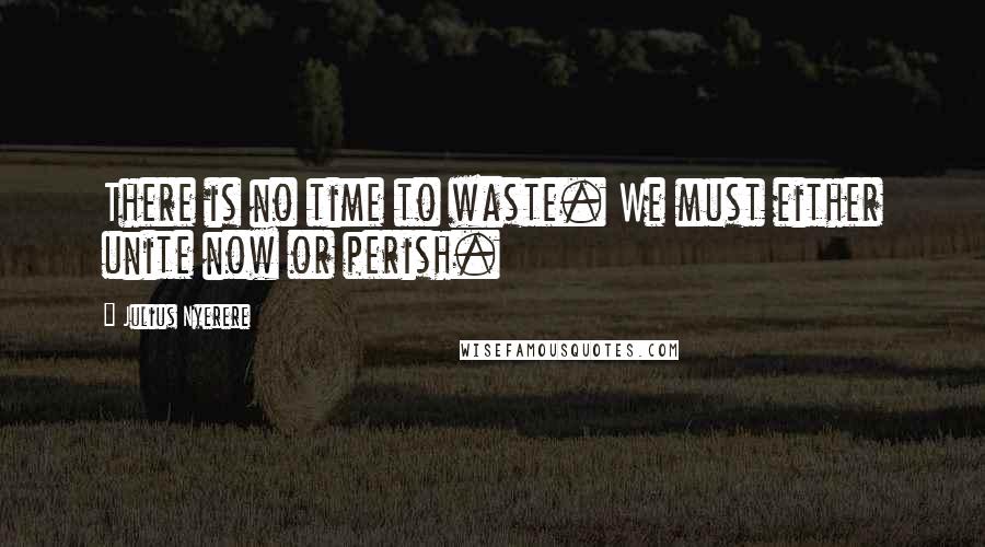 Julius Nyerere Quotes: There is no time to waste. We must either unite now or perish.