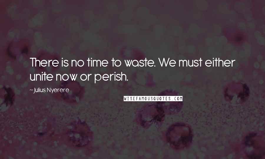 Julius Nyerere Quotes: There is no time to waste. We must either unite now or perish.