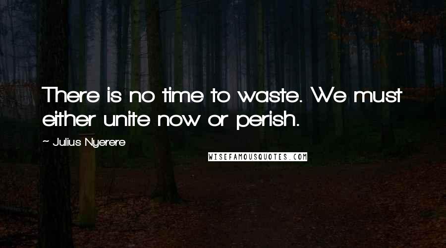 Julius Nyerere Quotes: There is no time to waste. We must either unite now or perish.