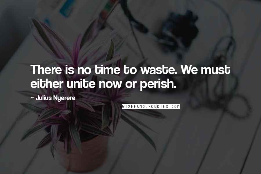 Julius Nyerere Quotes: There is no time to waste. We must either unite now or perish.