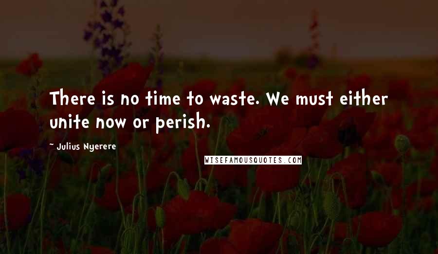 Julius Nyerere Quotes: There is no time to waste. We must either unite now or perish.