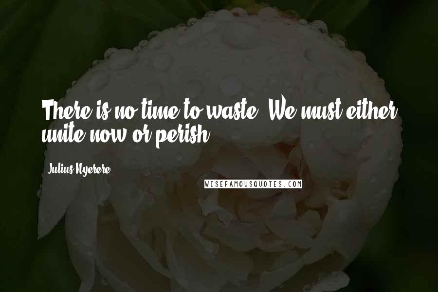 Julius Nyerere Quotes: There is no time to waste. We must either unite now or perish.