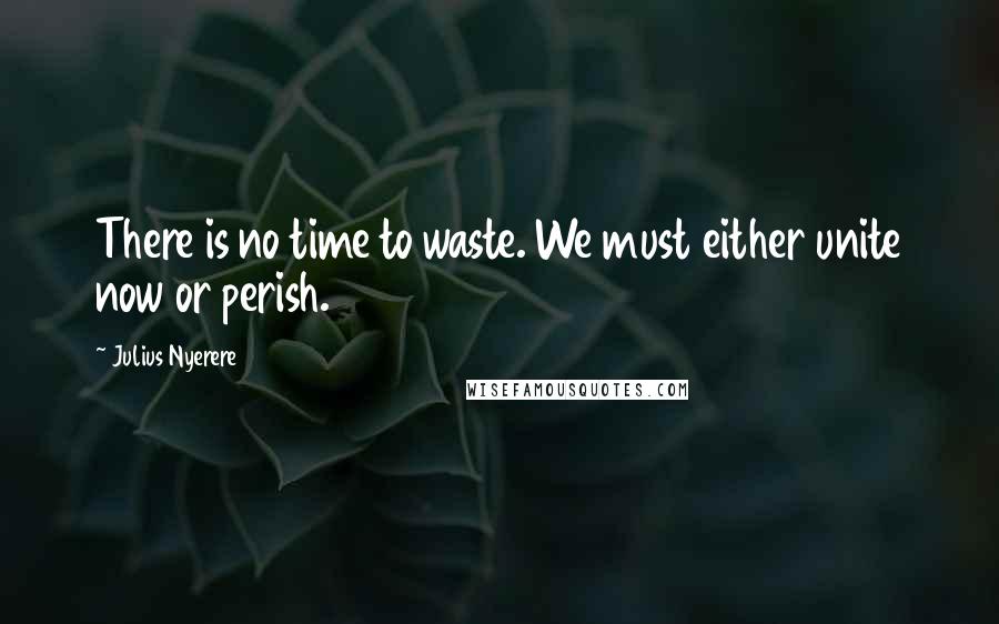 Julius Nyerere Quotes: There is no time to waste. We must either unite now or perish.