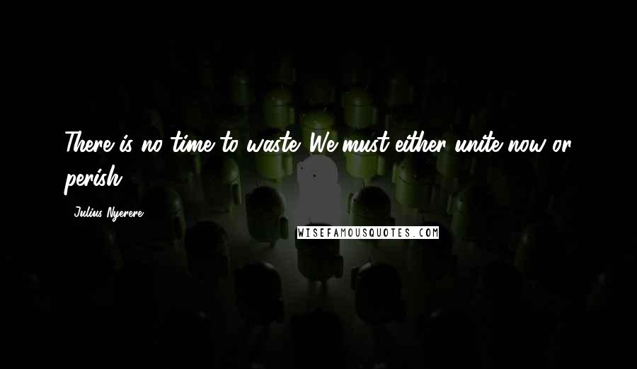 Julius Nyerere Quotes: There is no time to waste. We must either unite now or perish.