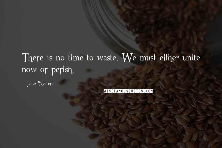 Julius Nyerere Quotes: There is no time to waste. We must either unite now or perish.