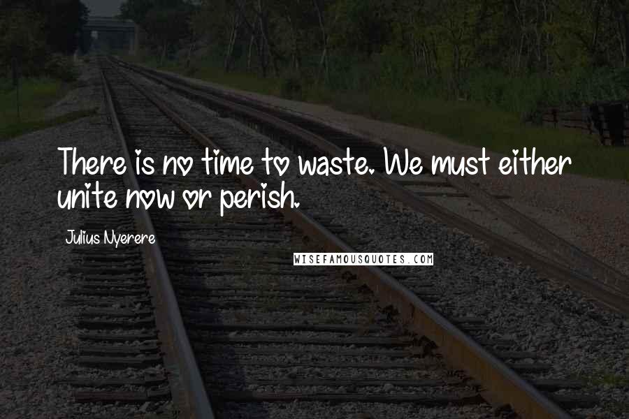 Julius Nyerere Quotes: There is no time to waste. We must either unite now or perish.