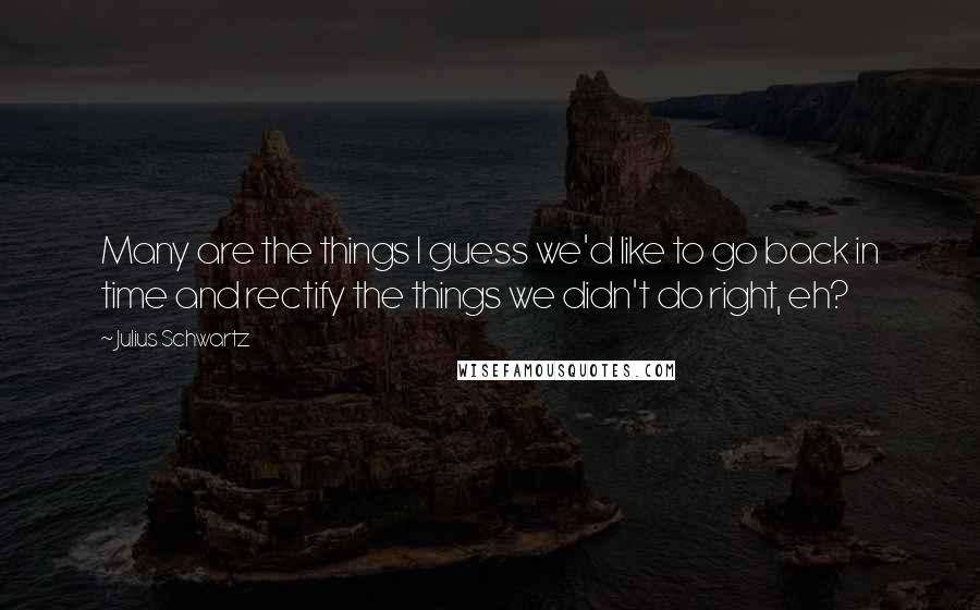 Julius Schwartz Quotes: Many are the things I guess we'd like to go back in time and rectify the things we didn't do right, eh?