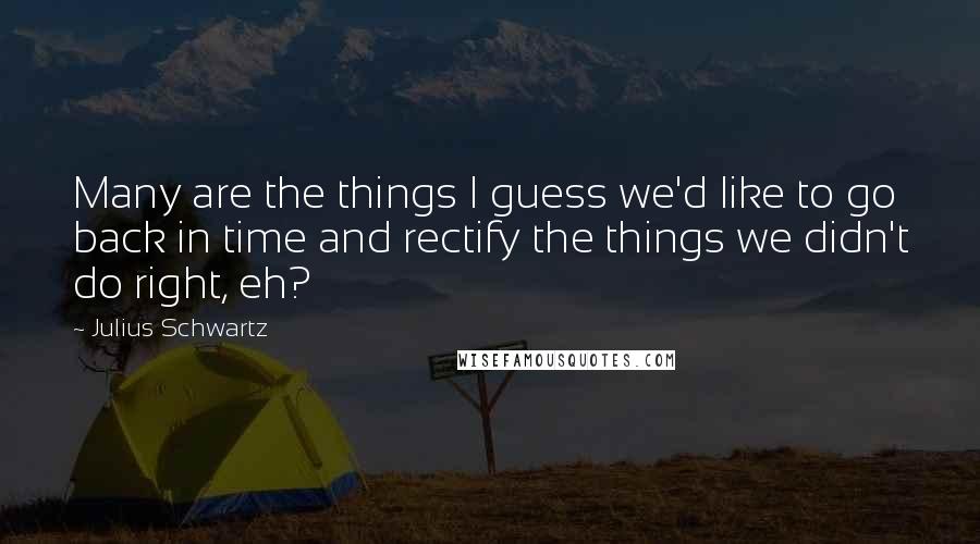 Julius Schwartz Quotes: Many are the things I guess we'd like to go back in time and rectify the things we didn't do right, eh?