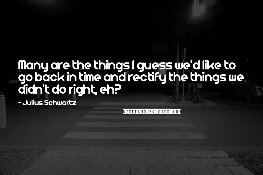 Julius Schwartz Quotes: Many are the things I guess we'd like to go back in time and rectify the things we didn't do right, eh?