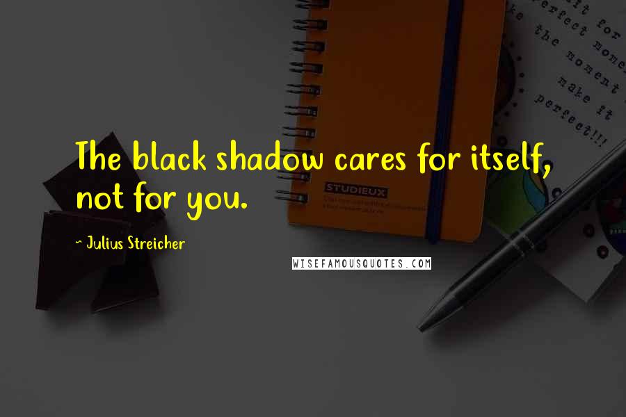 Julius Streicher Quotes: The black shadow cares for itself, not for you.