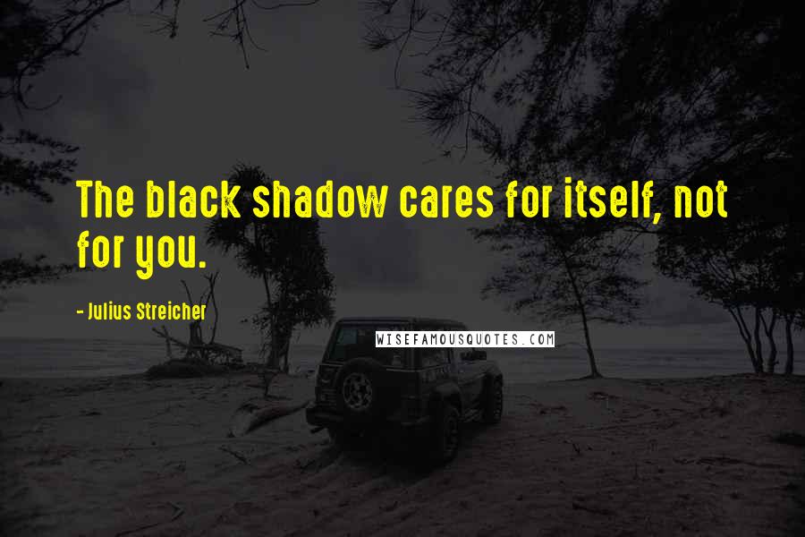 Julius Streicher Quotes: The black shadow cares for itself, not for you.