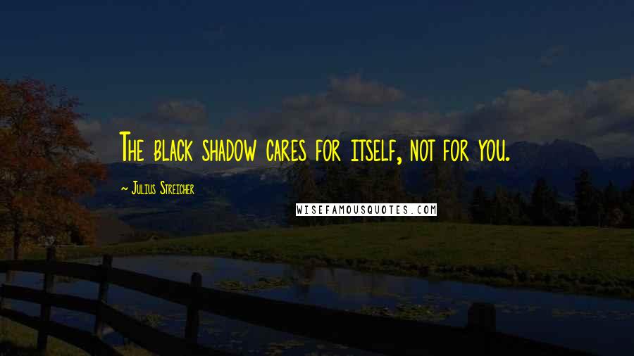 Julius Streicher Quotes: The black shadow cares for itself, not for you.