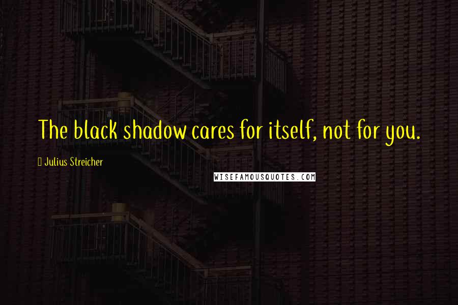 Julius Streicher Quotes: The black shadow cares for itself, not for you.