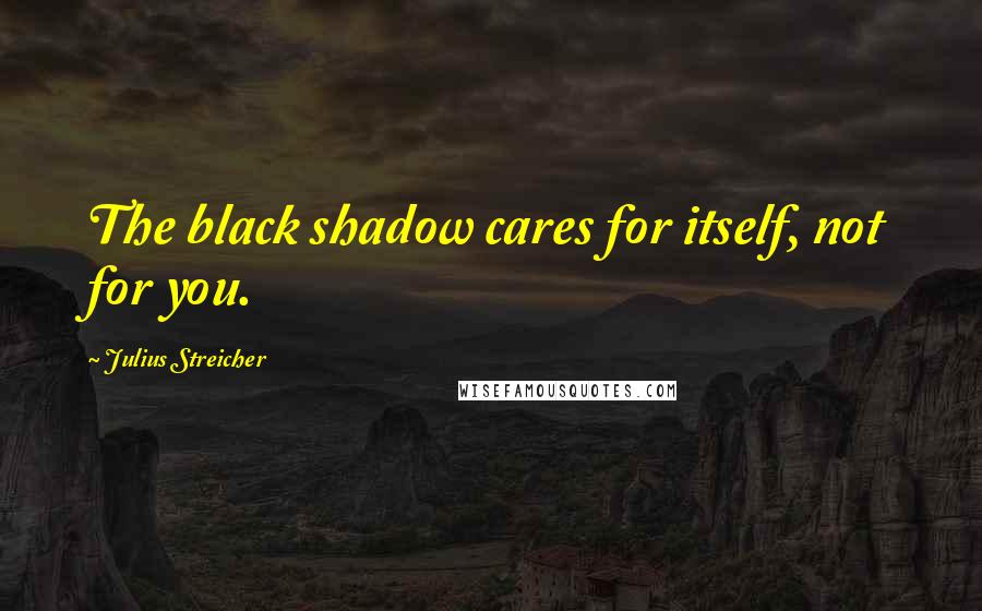 Julius Streicher Quotes: The black shadow cares for itself, not for you.