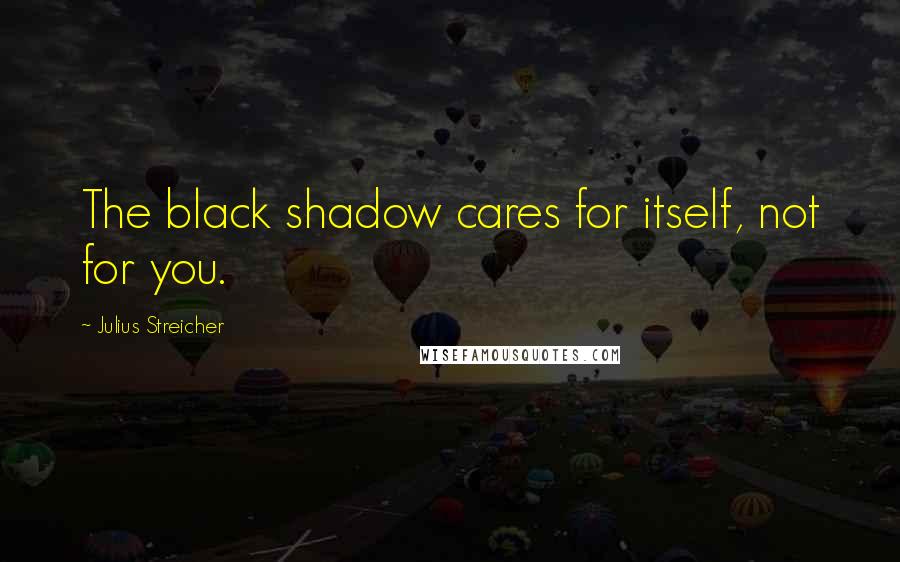 Julius Streicher Quotes: The black shadow cares for itself, not for you.