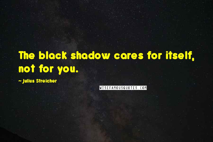 Julius Streicher Quotes: The black shadow cares for itself, not for you.