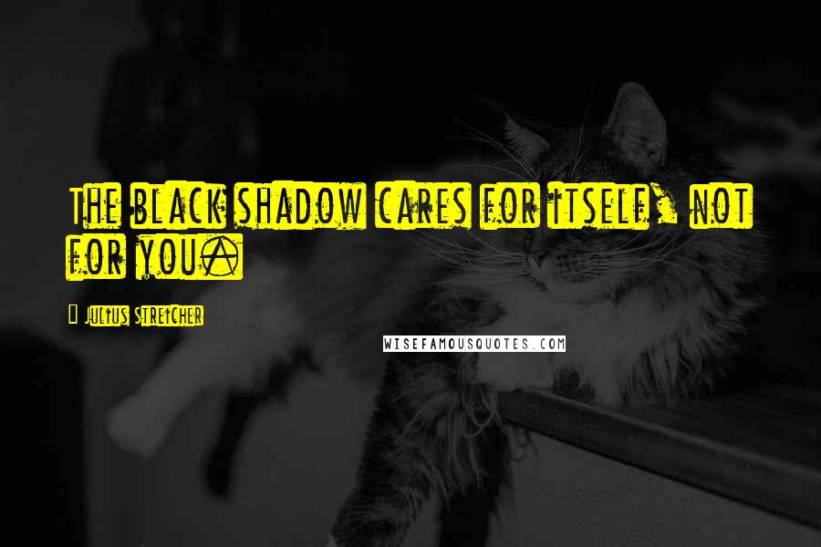 Julius Streicher Quotes: The black shadow cares for itself, not for you.