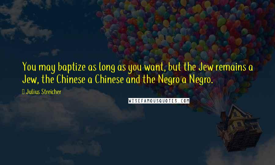 Julius Streicher Quotes: You may baptize as long as you want, but the Jew remains a Jew, the Chinese a Chinese and the Negro a Negro.