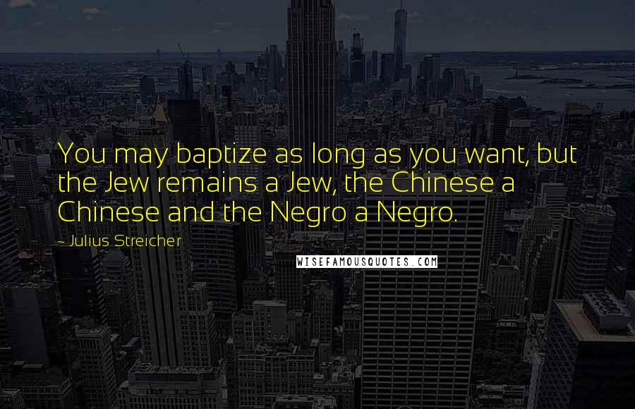 Julius Streicher Quotes: You may baptize as long as you want, but the Jew remains a Jew, the Chinese a Chinese and the Negro a Negro.