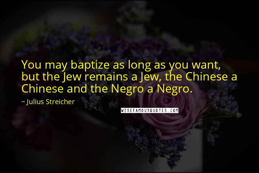 Julius Streicher Quotes: You may baptize as long as you want, but the Jew remains a Jew, the Chinese a Chinese and the Negro a Negro.