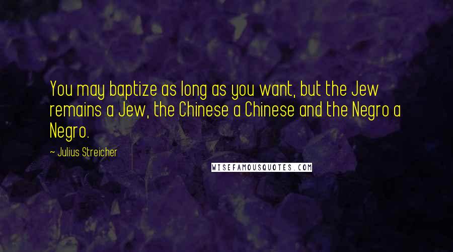 Julius Streicher Quotes: You may baptize as long as you want, but the Jew remains a Jew, the Chinese a Chinese and the Negro a Negro.