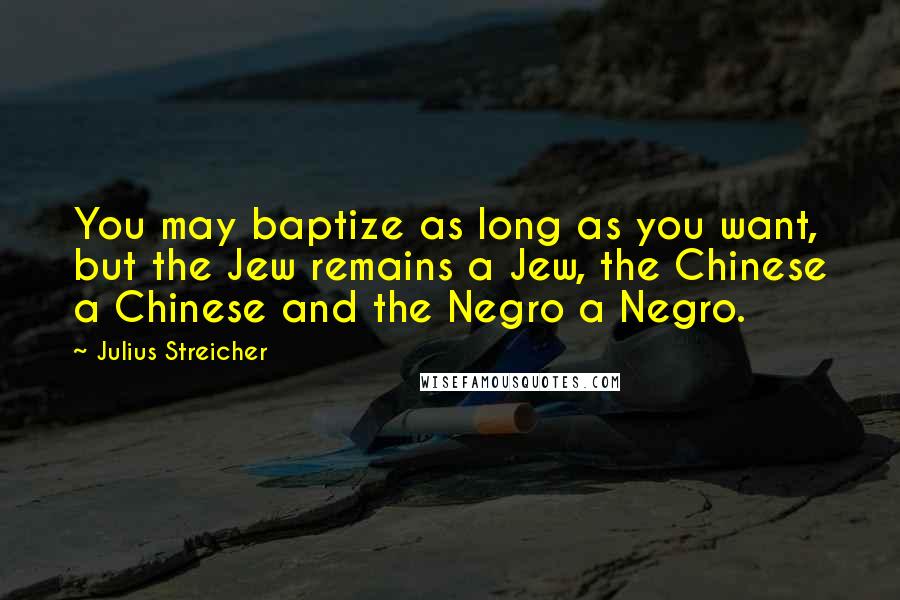 Julius Streicher Quotes: You may baptize as long as you want, but the Jew remains a Jew, the Chinese a Chinese and the Negro a Negro.